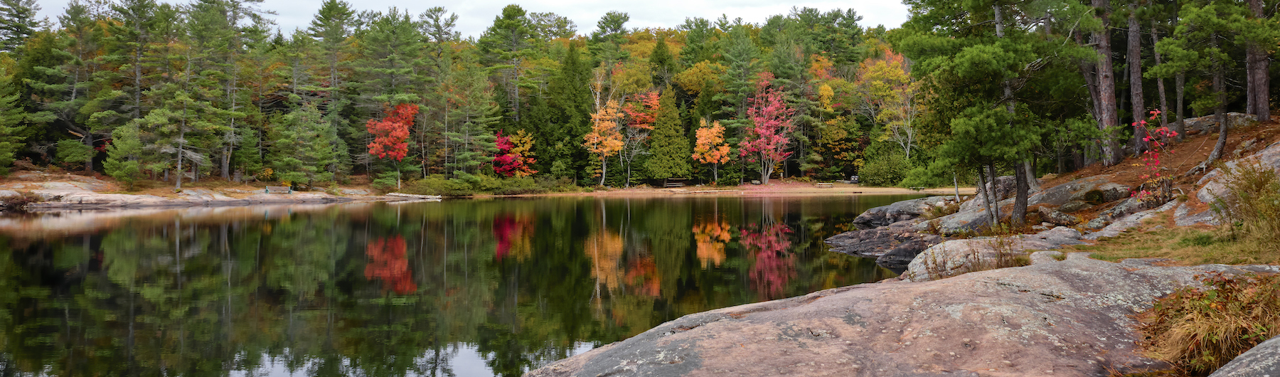 Colourful trees in the autumn surrounded by green pine trees reflect in the water of Silent Lake Provincial Park with the granite of the Canadian shield in the foreground.
