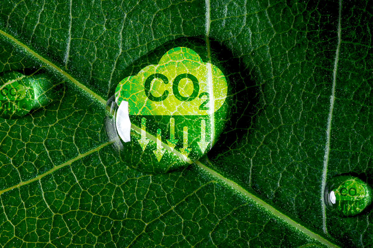 c02