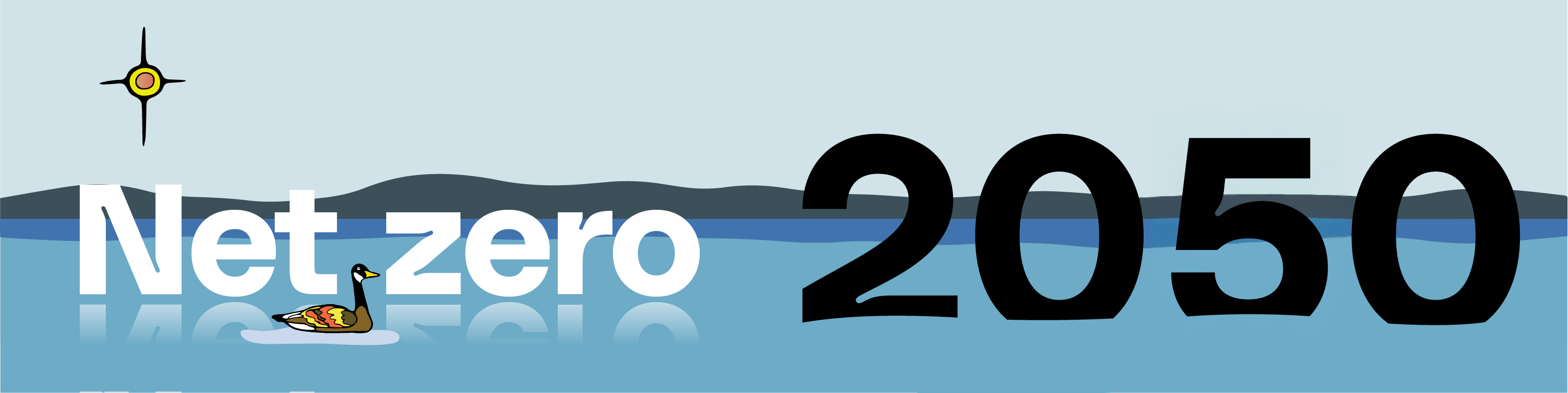 net-zero-2050